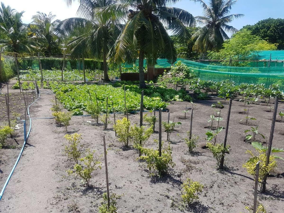 Dharavandhoo Stay Exterior photo